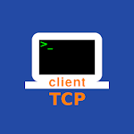 Cover Image of Download TCP Client  APK