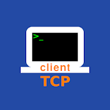 TCP Client icon