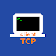 TCP Client Descarga en Windows