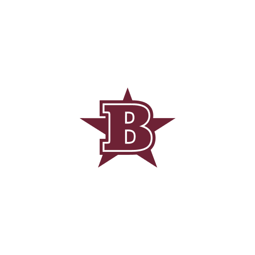 Benton High School, IL logo