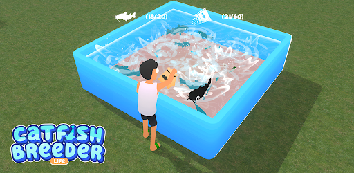 Catfish Breeder Life