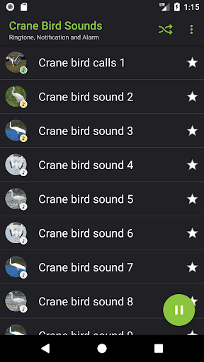 Crane bird sounds Screen 2