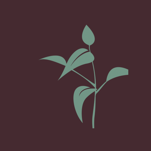 Legacy Christian Church App logo