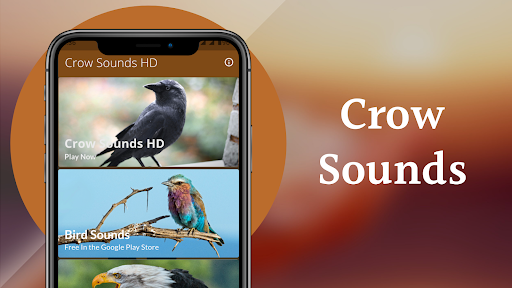 Crow Sounds -Calls & Ringtones Screen 2