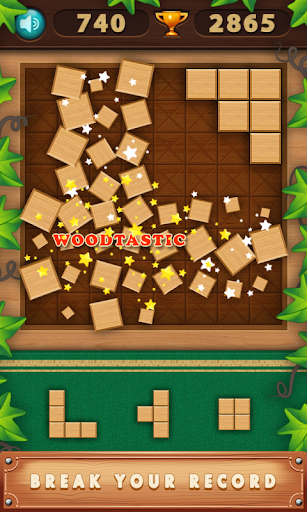 BLOCK PUZZLE WOOD