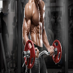 Cover Image of डाउनलोड Chest Routine Gym  APK