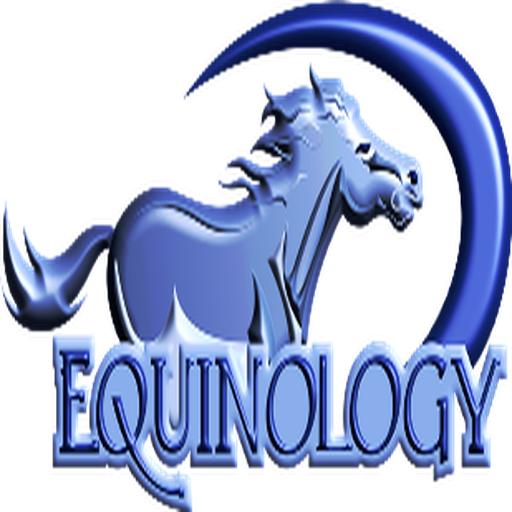 Equine Anatomy Learning Aid (E 1.5.1 Icon