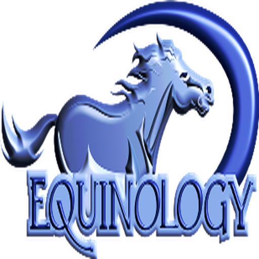 Logo Equine Anatomy Learning Aid (E