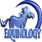 Equine Anatomy Learning Aid (EALA)