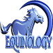 Equine Anatomy Learning Aid (E