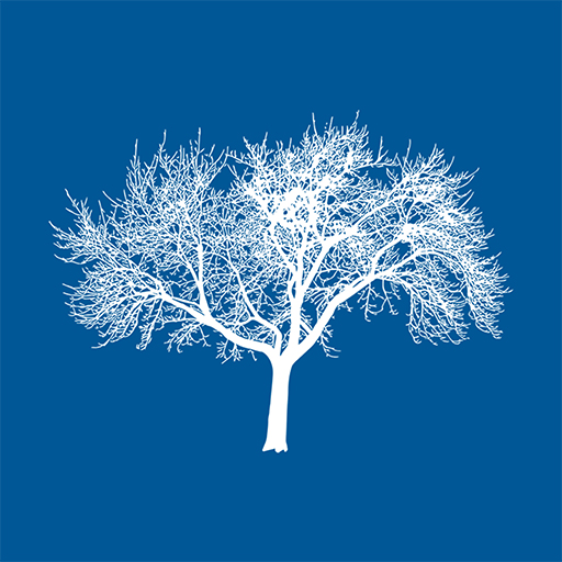 Eldermark POC 2 logo