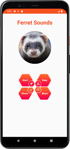 Ferret Sounds Screenshot 2 - AppWisp.com