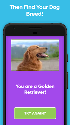 What Type Of Dog Are You? - Screenshot 2