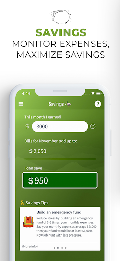 Screenshot of 4Ducks: Budget & Bill tracker