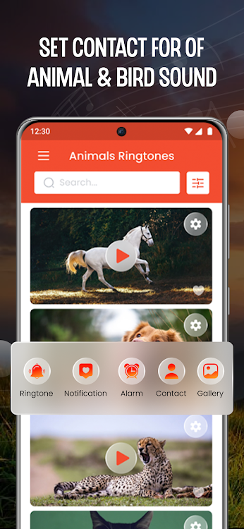 Animal Ringtone: Bird Ringtone by poiesistech - (Android Apps) — AppAgg
