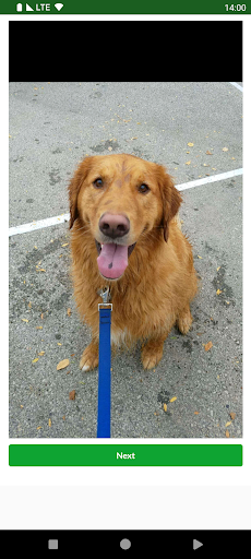 Dogs Images Screen 3