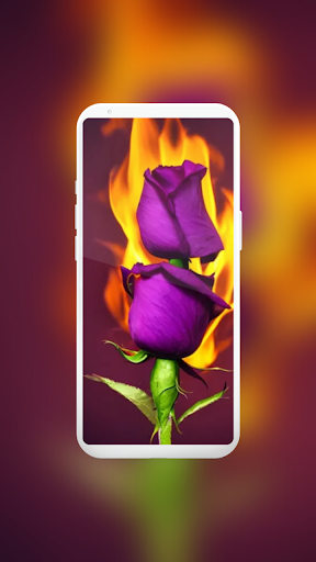 Fire Wallpaper Screen 2