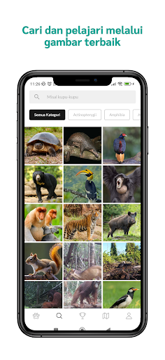 RMU Biodiversity Screen 2