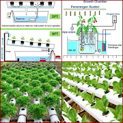 hydroponic technique