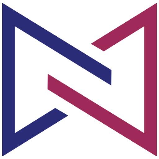 Netgera BI logo