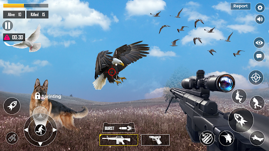 Jungle Bird Hunting Game 3D