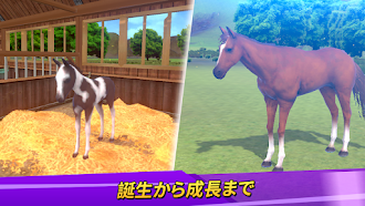 Game screenshot ダービーライフ apk download