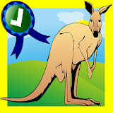 Adventure Of Crazy Kangaroo icon