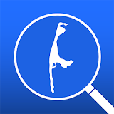 iSyltSearch icon