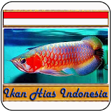Ikan Hias Indonesia icon