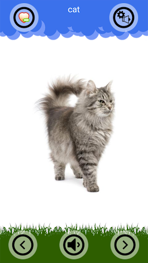 Animal Sounds and Ringtones Screen 3