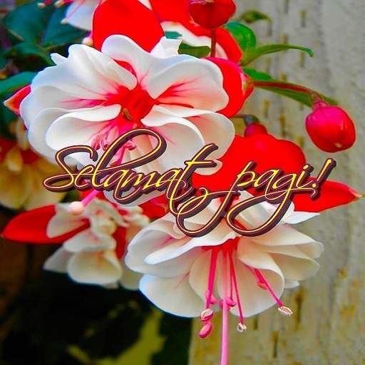 Selamat pagi! logo