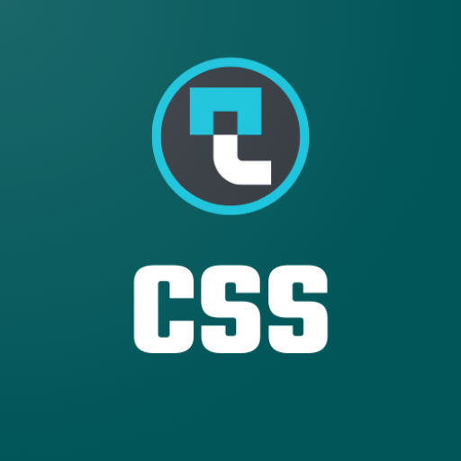 CSS logo