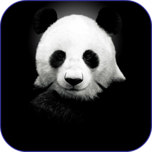 Panda Wallpapers 4.3 Icon