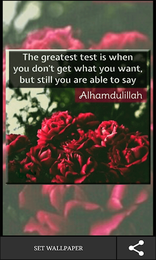 Islamic Truth Quotes Screen 2