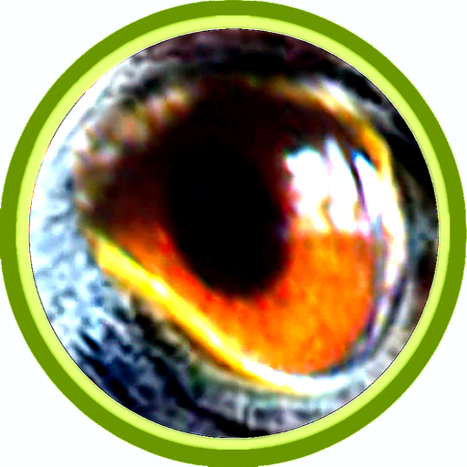 Rapaces Iberia (Guía) logo