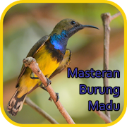 Top 44 Music & Audio Apps Like Masteran Burung Madu Gacor - Offline - Best Alternatives