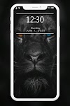 screenshot of Lion Wallpapers HD