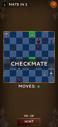Chess Puzzle Screen 3