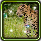 Leopards Cool live wallpaper icon