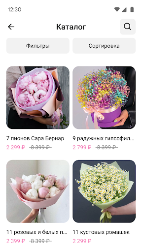 МегаЦвет24 Screen 3