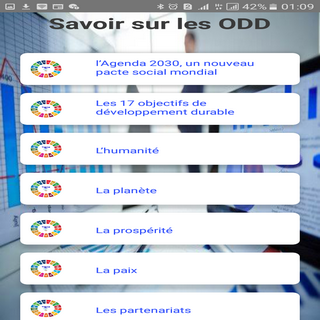 Young for SDGs localization