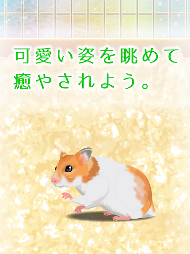 Download 癒しのハムスター育成ゲーム Free For Android 癒しのハムスター育成ゲーム Apk Download Steprimo Com