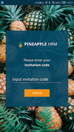 Pineapple HRM Screen 3