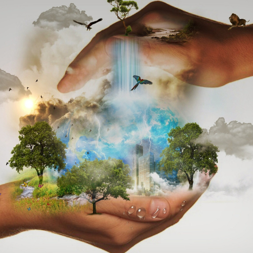Imagenes de la Naturaleza logo