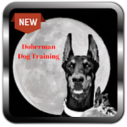 Doberman Dog Training