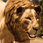 Ultimate Lion Simulator 0.1