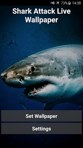 Android application Shark Attack Live Wallpaper screenshort