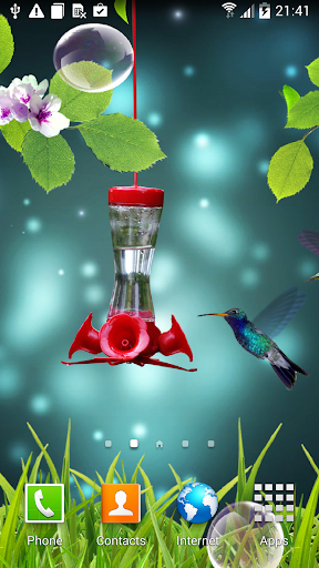 Hummingbirds wallpaper Screen 3