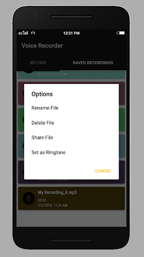 Smart Voice Recorder Screen 3