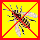 Anti Pest icon